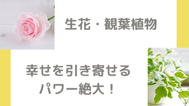 風水では玄関正面に飾るものが鍵 幸運を引き寄せるアイテムと飾り方 笑顔で開運