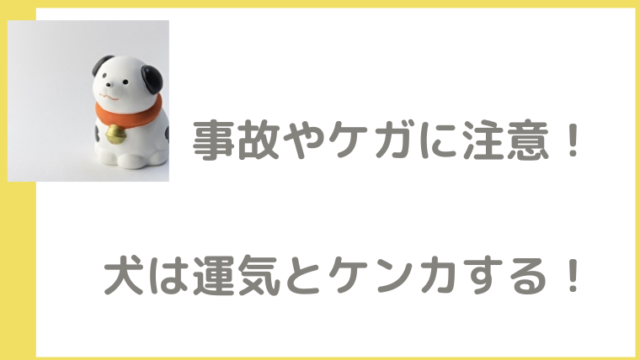 風水では玄関正面に飾るものが鍵 幸運を引き寄せるアイテムと飾り方 笑顔で開運