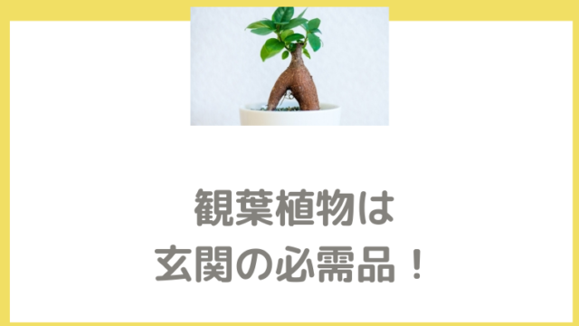 下駄箱の上はシンプルに飾るのが風水のコツ 金運を呼ぶ最強の組合せ 開運研究員meguが教える運気アップのコツ