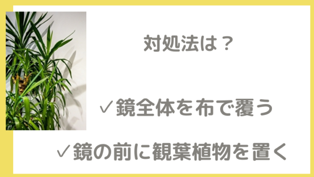 玄関の右側に鏡があるとngな理由と対策 運気アップは使い方次第 笑顔で開運