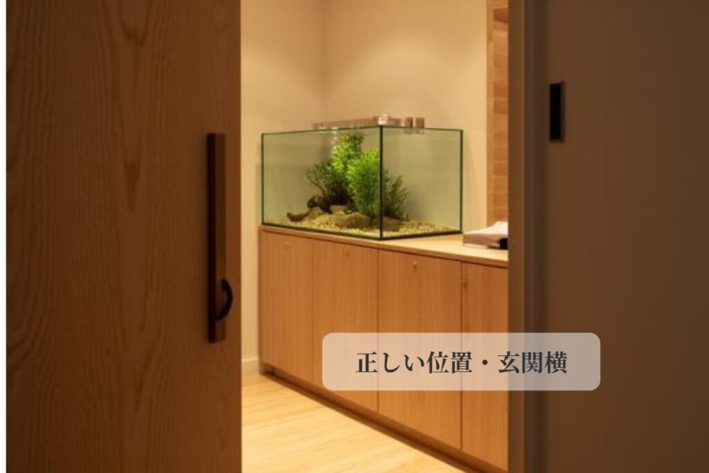 玄関横、メダカの水槽