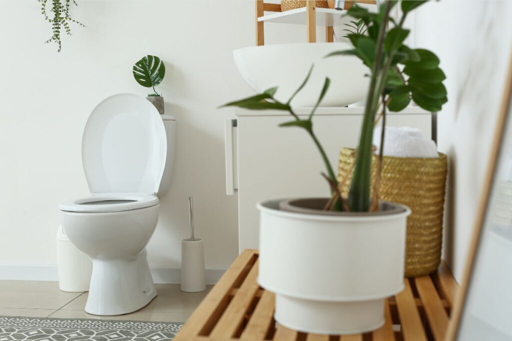 トイレ、小物や観葉植物